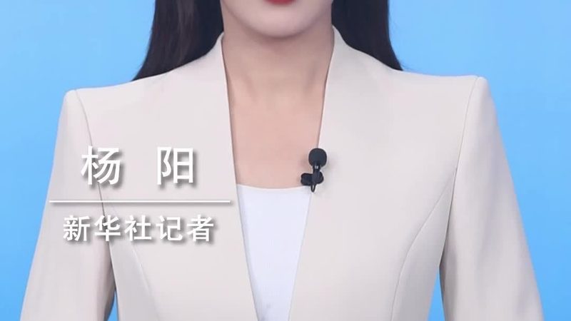 医药研发外包合同流程：关键环节与注意事项**